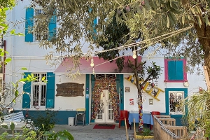 2021-03-16-sy-kiymetli-buca-14