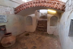 2021-04-23-it-ayvalik-ayazmasi-13