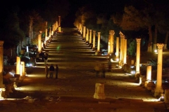 Efes Antik Kenti [Fotoğraf : Turan Gültekin]