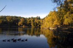 Karagöl [Fotoğraf : Berk Altınışık]