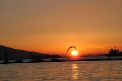 Güneşi Kucakla [Fotoğraf : Elbin Ertunç Dinç]